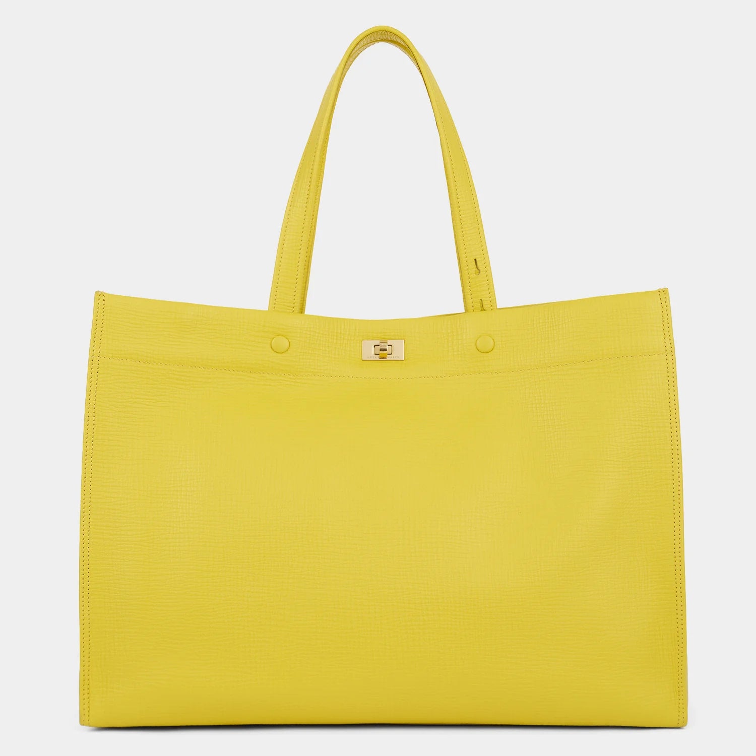 Anya Hindmarch Mortimer Tote in Taxi Crosshatch Leather