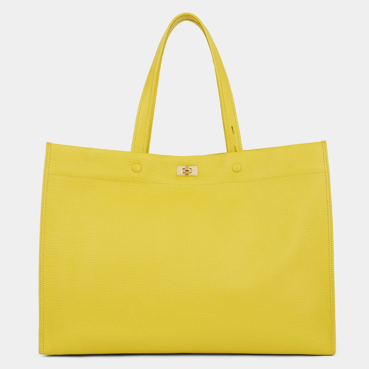 Anya Hindmarch Mortimer Tote in Taxi Crosshatch Leather