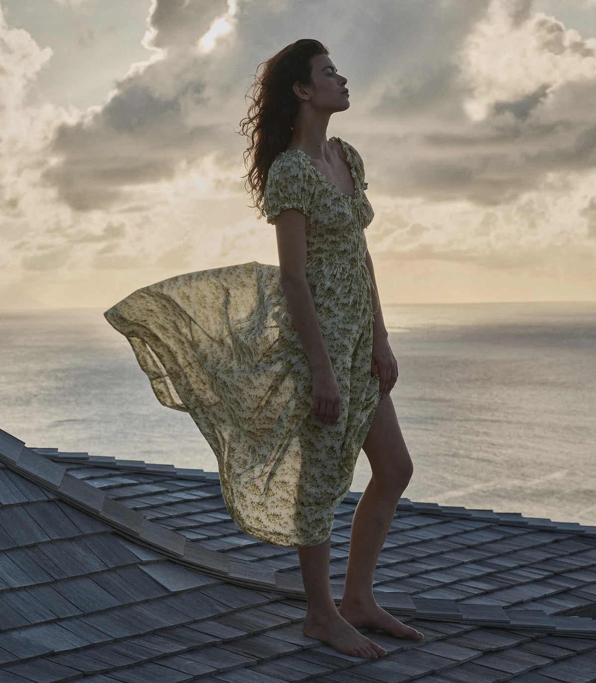 DOEN Ashlynn Dress in Citron Rosier Floral