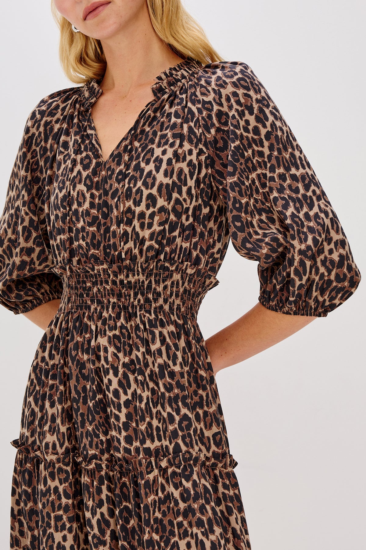 RAILS Catherine Dress in Brown Nala