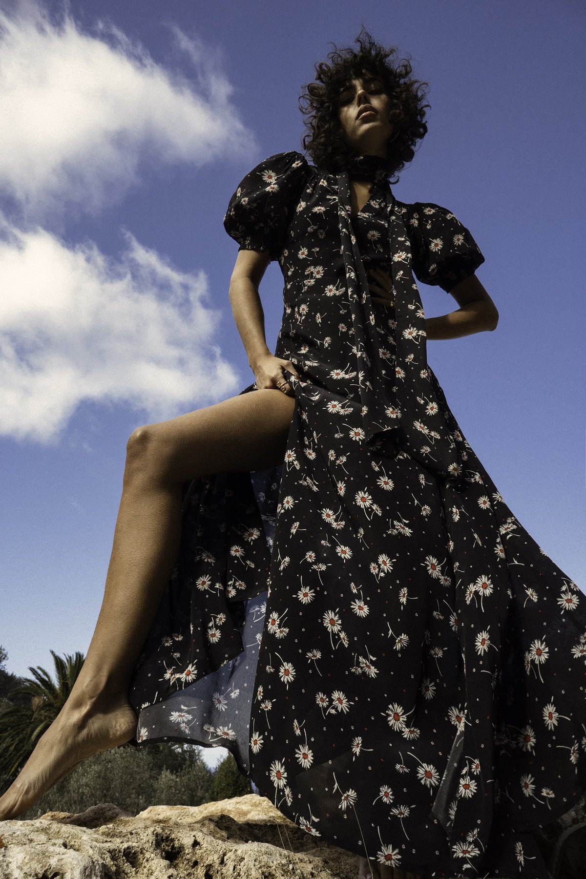 QOA Rhiannon Dress in Black Daisy