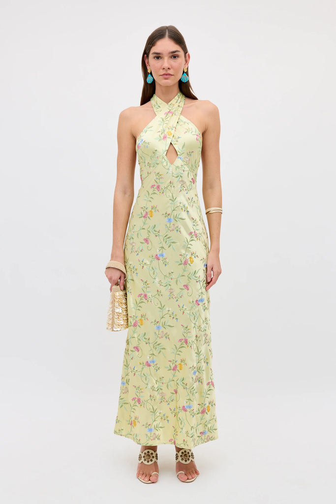 RIXO Dune Halterneck Maxi Gown in Botanical Embroidery Green | Satin   shopatanna