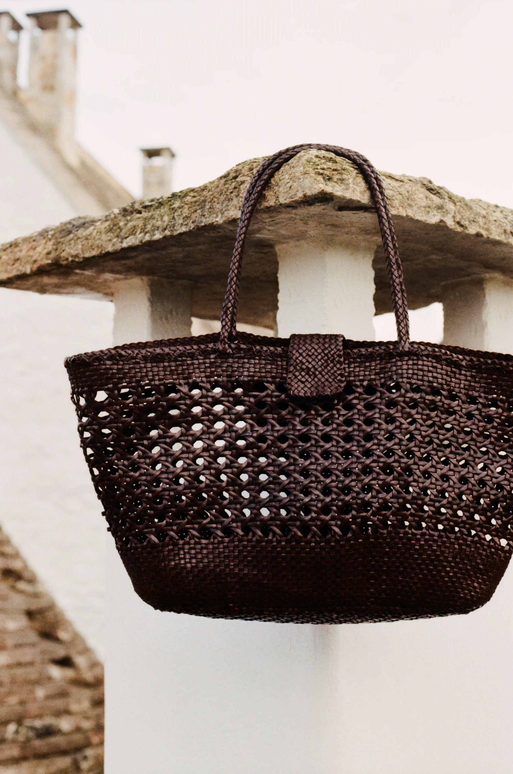 RIXO X Dragon Diffusion Lucine Bag in Dark Brown