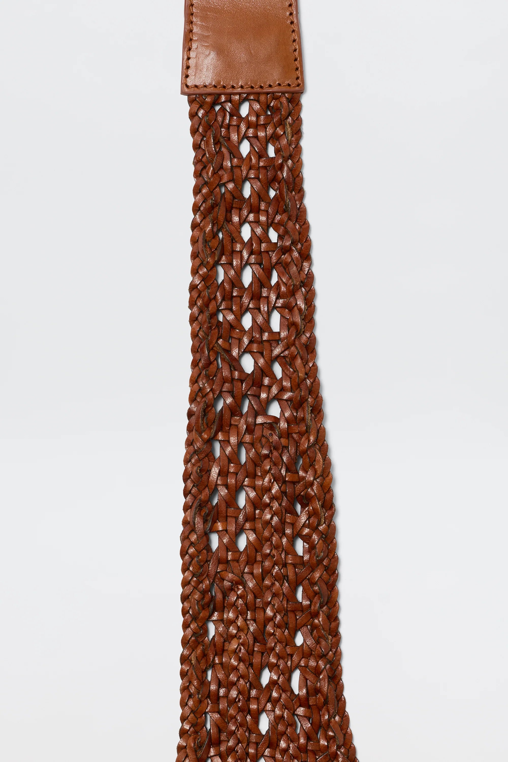 RIXO X Dragon Diffusion Roxelle Belt in Tan