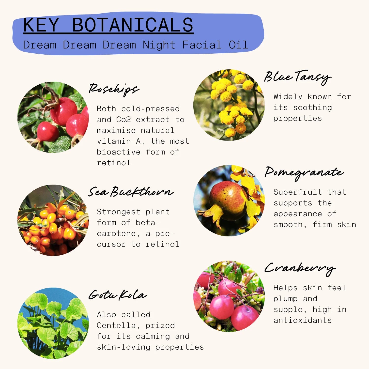 Dream Dream Dream Regenerating Nightly Face Oil