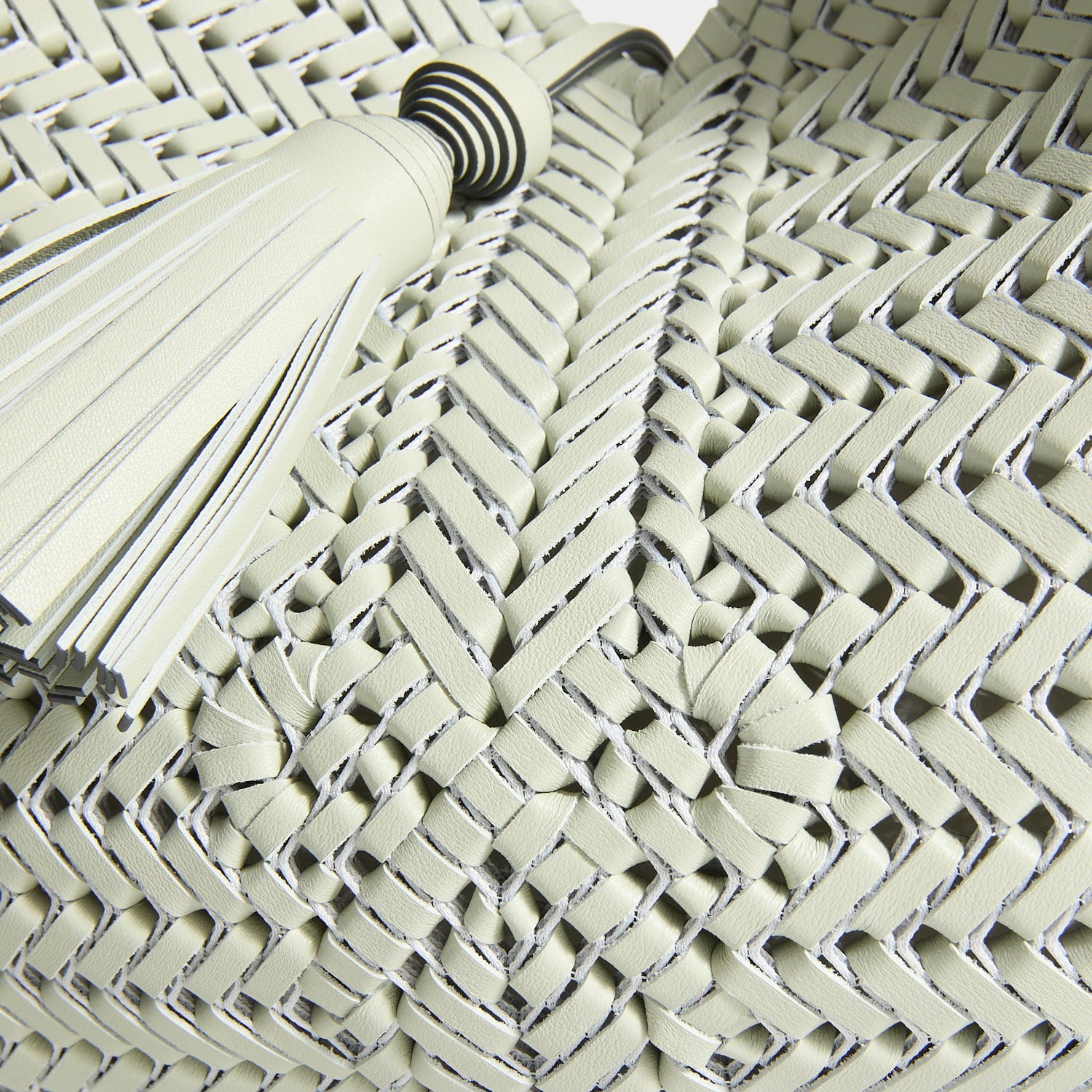 Anya Hindmarch The Neeson Tassel Hobo in Iceberg