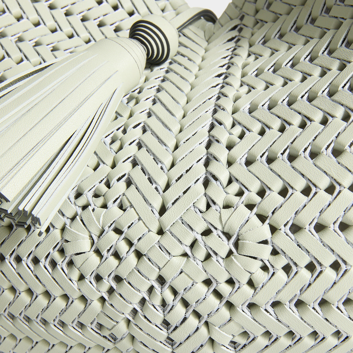 Anya Hindmarch The Neeson Tassel Hobo in Iceberg