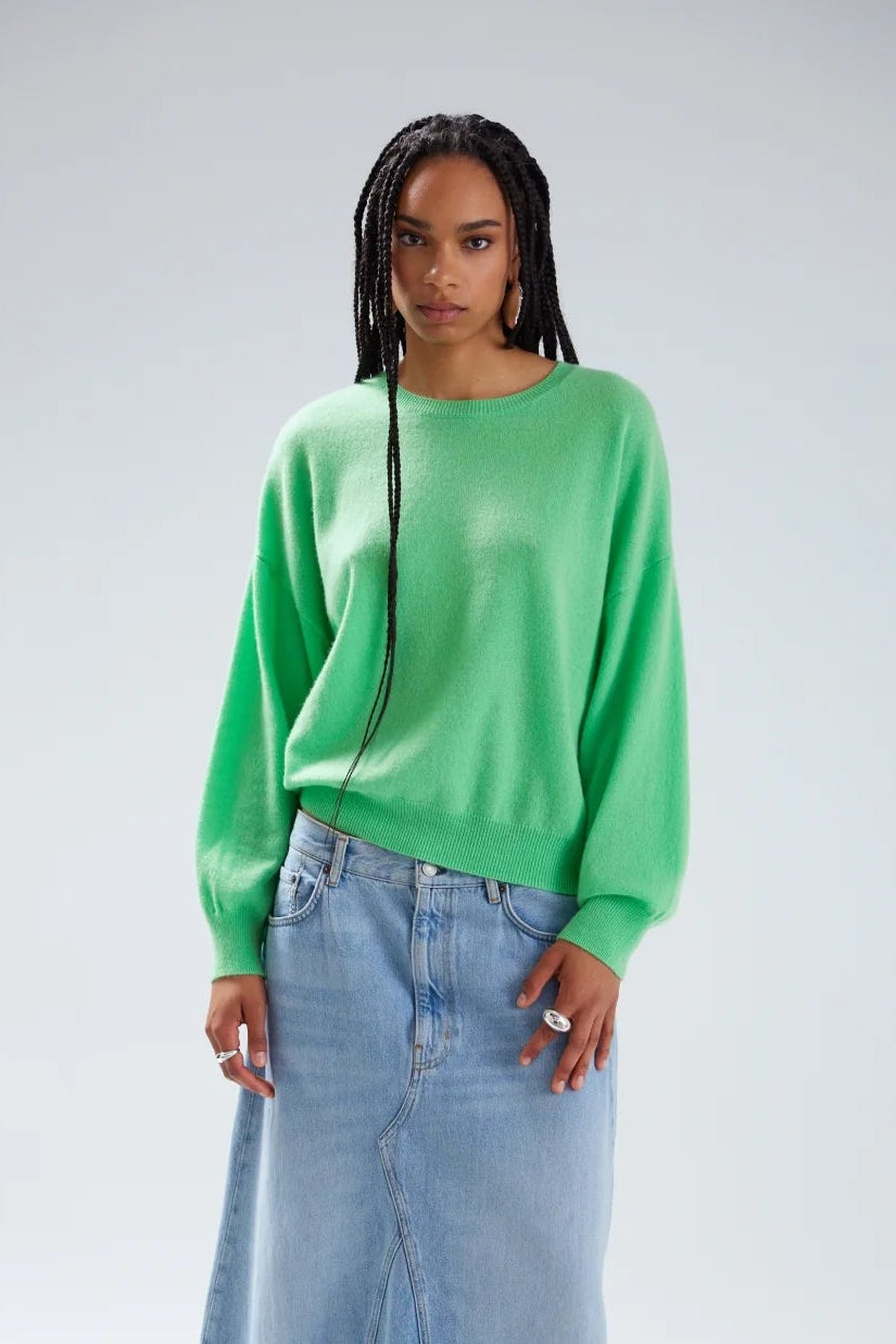 Colorush Miley Boyfriend Crew in Turtle