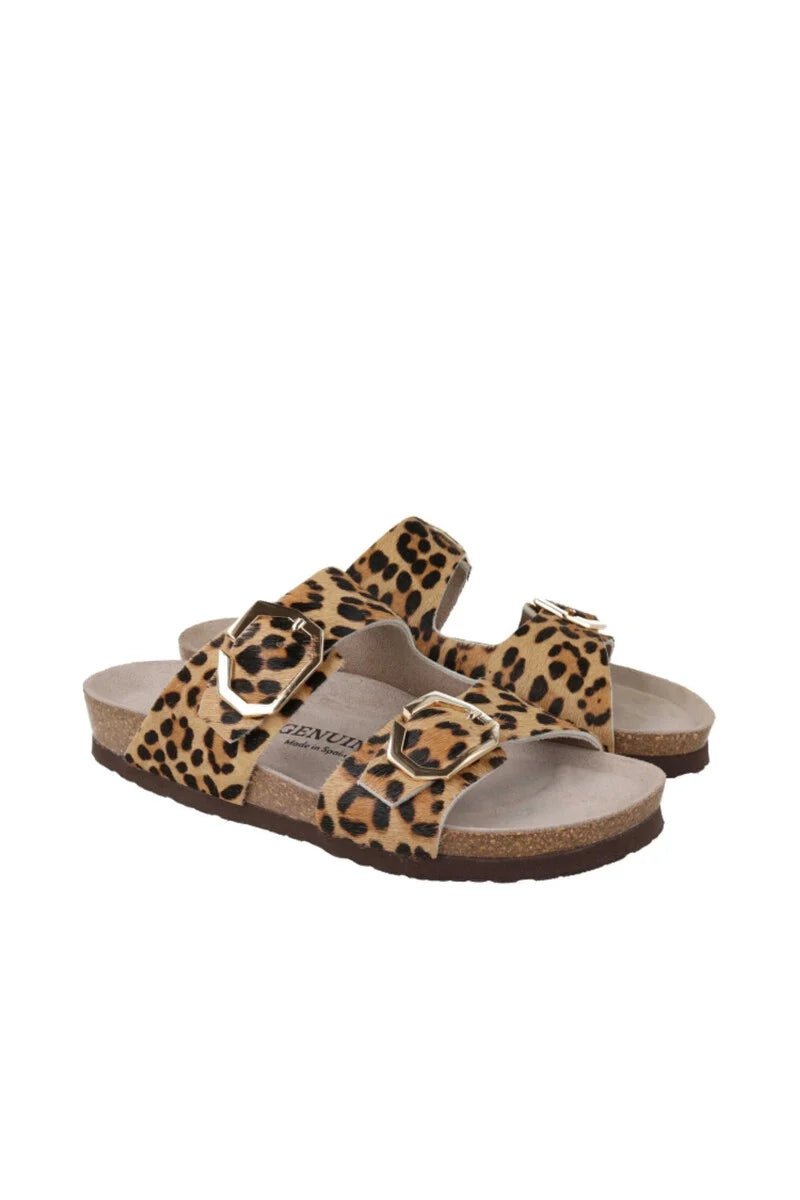 Genuins Gelan in Leo