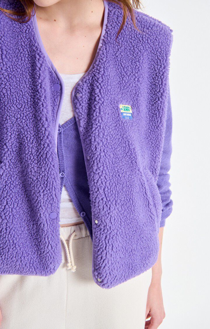 American Vintage Hoktown Fleece in Purple