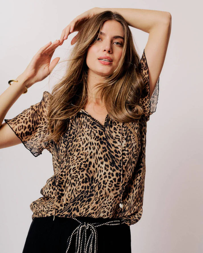 Moliin Christina Top in Black