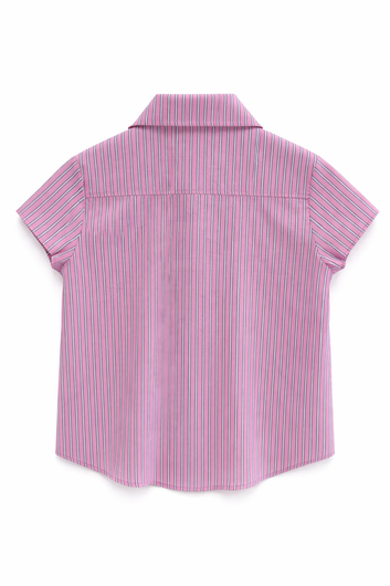 PARK Burnham Shirt in Pink, Navy Stripe