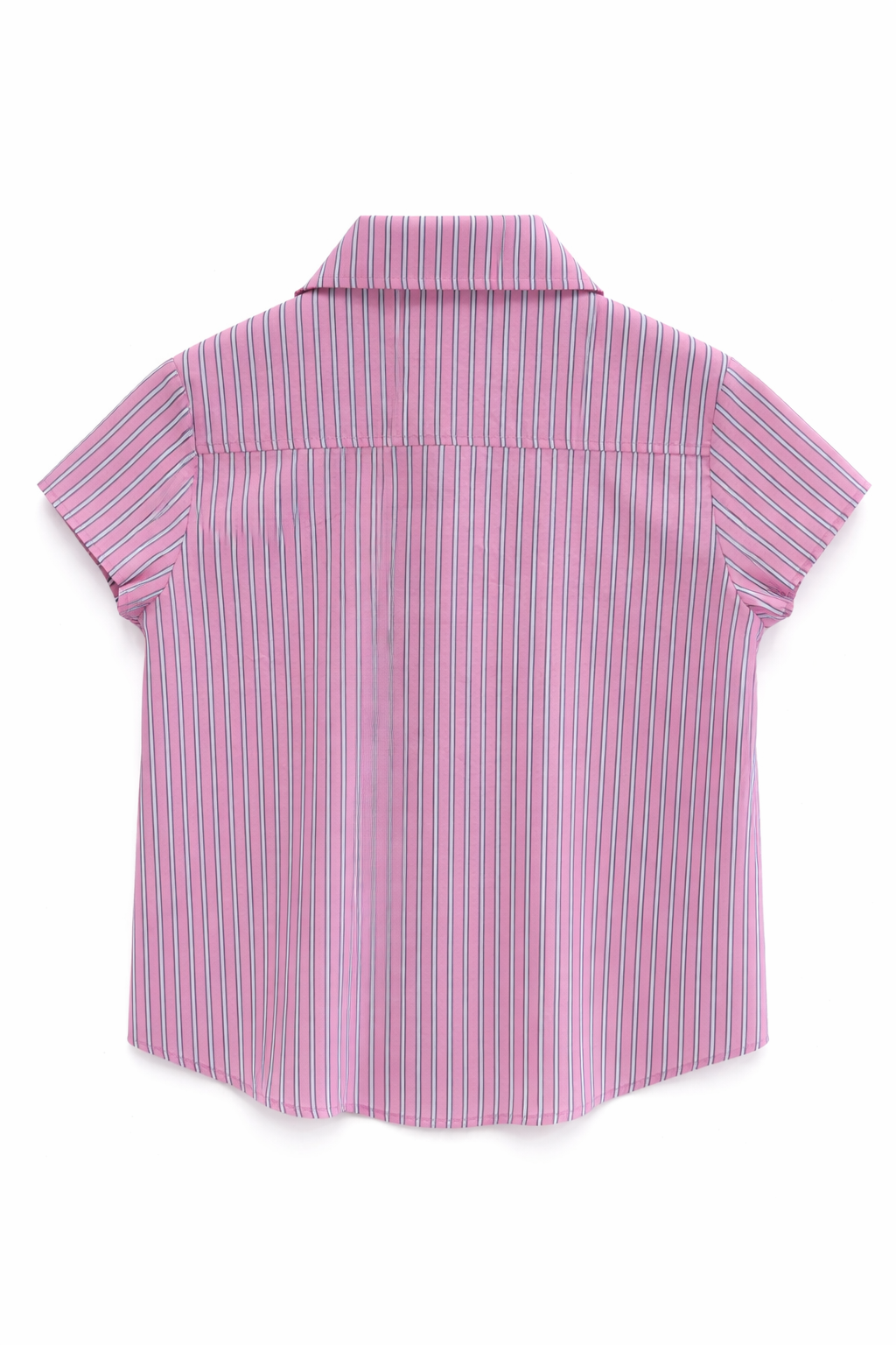 PARK Burnham Shirt in Pink, Navy Stripe