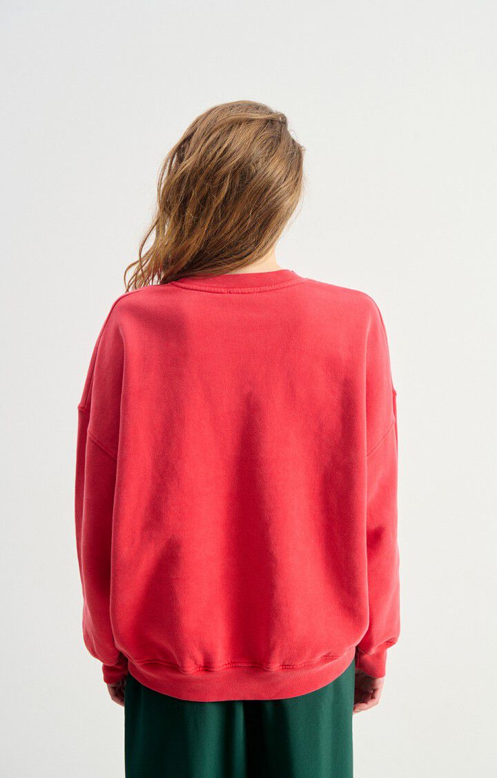 American Vintage Plizzy Sweatshirt in Volcan Vintage