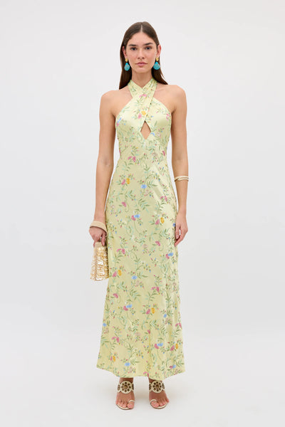 RIXO Dune Halterneck Maxi Gown in Botanical Embroidery Green