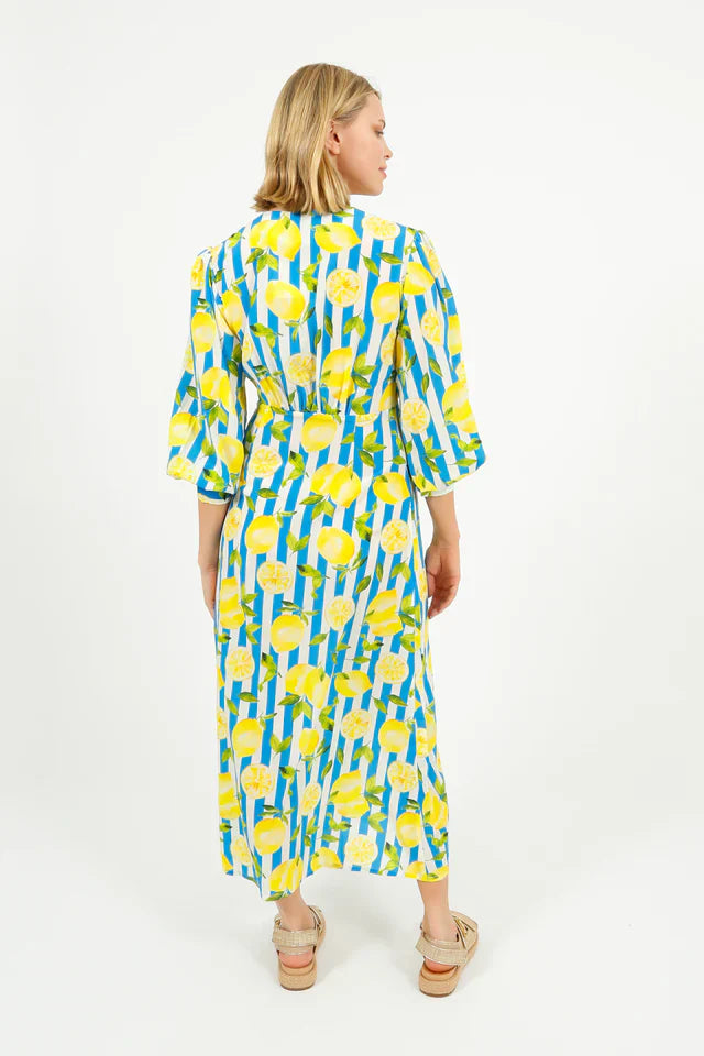 Primrose Park Opal Dress in Lemons
