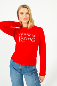 You added <b><u>BF Scorpio Rising Jumper in Red</u></b> to your cart.