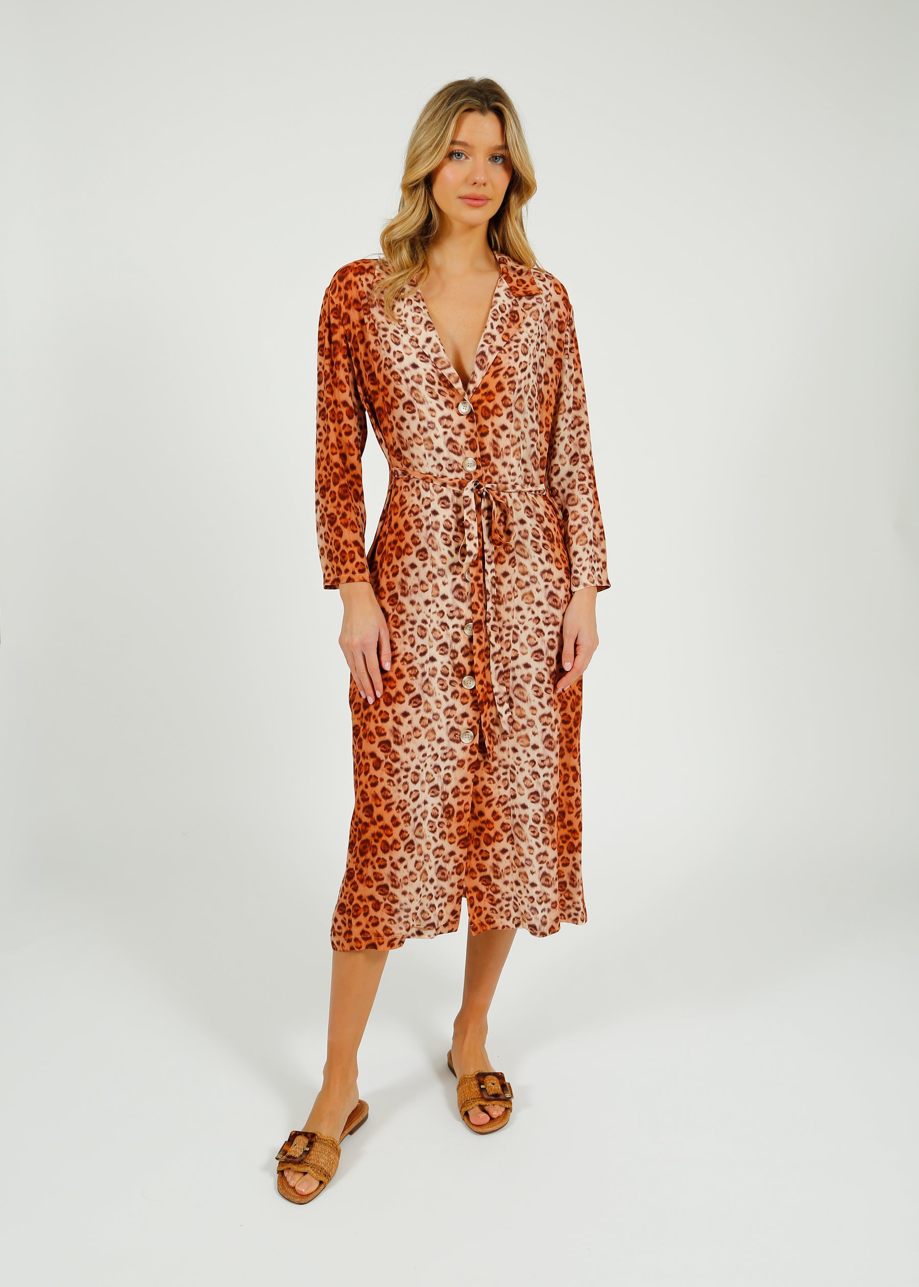 Primrose Park Eli Dress in Leopard