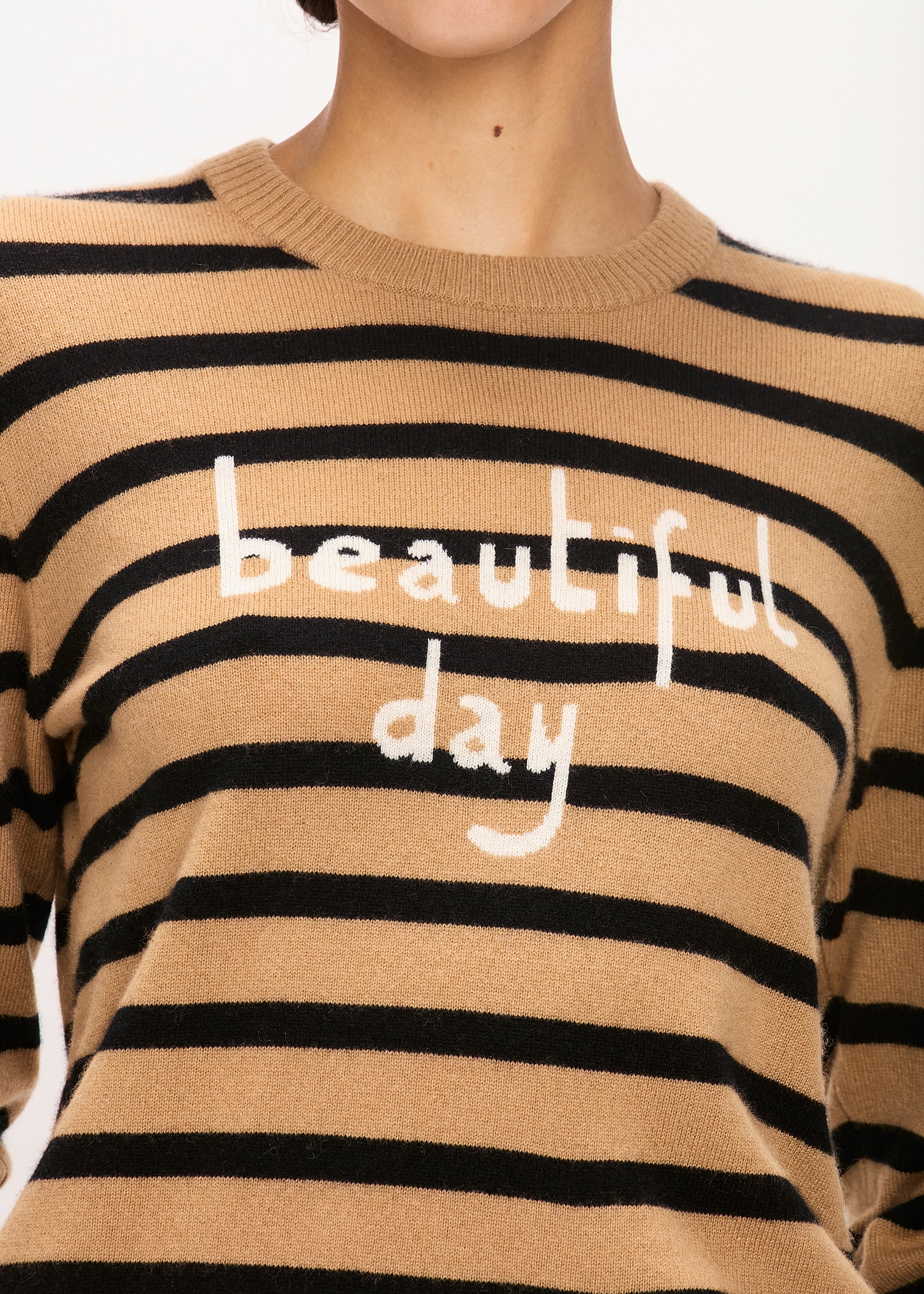 Bella Freud Beautiful Day Cashmere Jumper in Cappuccino