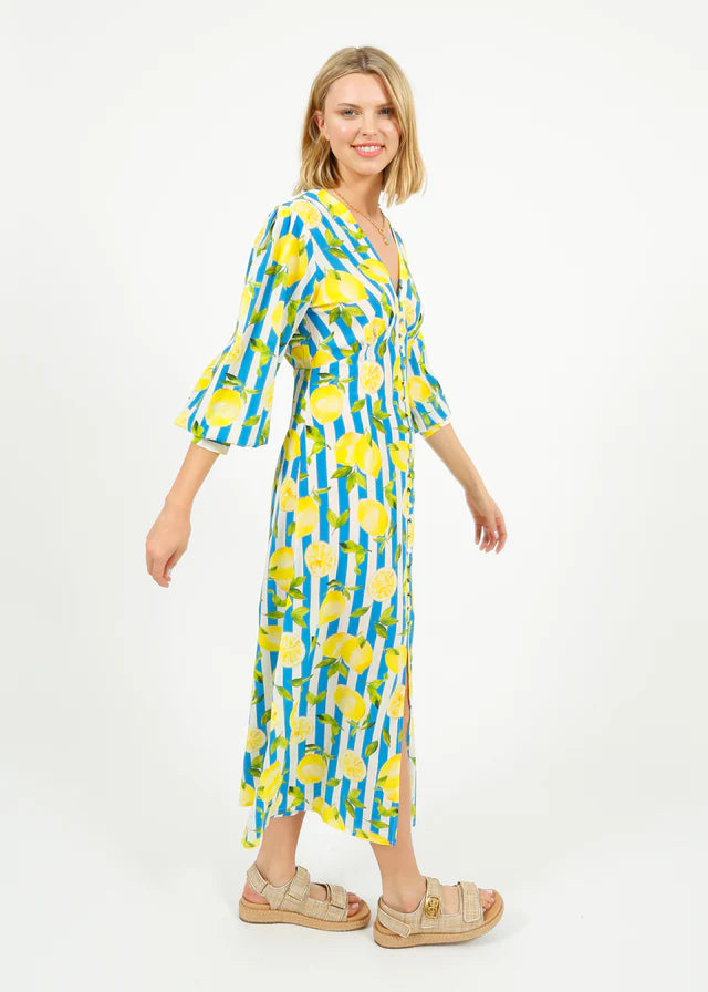 Primrose Park Opal Dress in Lemons